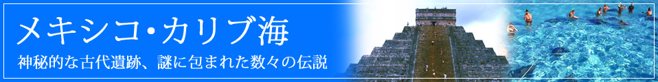 [���ʂ������ߗp] ���L�V�R�E�J���u