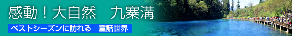 [�����E���E�D�y�E���E�V���E������]�@�����I�厩�R�@�x�X�g�V�[�Y���ɖK��银�b���E�@��ˍa