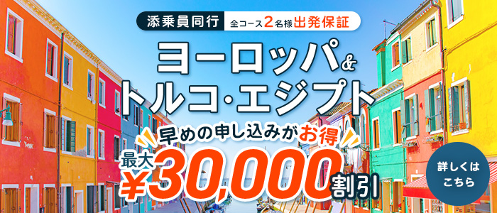 �Y������s�c�A�[�����\�����݃L�����y�[��